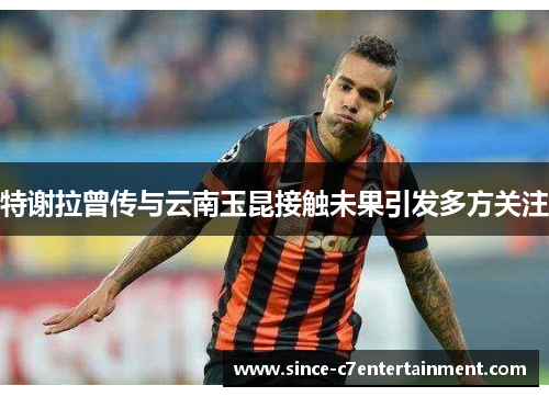 特谢拉曾传与云南玉昆接触未果引发多方关注