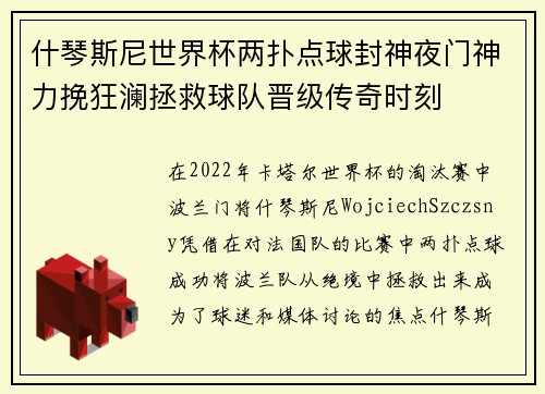 什琴斯尼世界杯两扑点球封神夜门神力挽狂澜拯救球队晋级传奇时刻